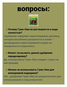 Хвойные Гуми-Оми Удобрение для хвойных деревьев Органическое для елки, пихты, сосны, кедра. 1 упаковка 500 гр ОЖЗ Кузнецова - фотография № 6