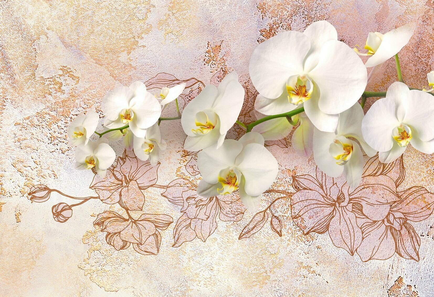 Фотообои Vostorg № 309 Белоснежная орхидея 294х201см