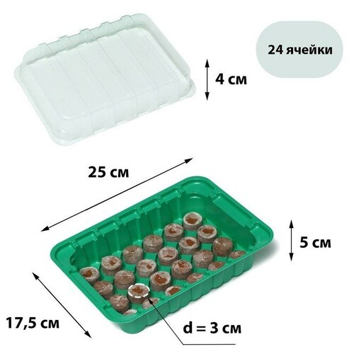 Мини-парник для рассады: кокосовая таблетка d = 3 см (24 шт.), парник 25 × 17,5 см, jiffy мини парник для рассады торфяная таблетка d 4 2 см 18 шт парник 36 25 13 см без вставок зелёный