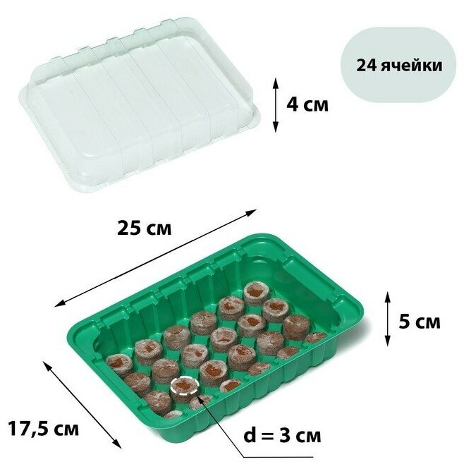 Мини-парник для рассады: кокосовая таблетка d = 3 см (24 шт.), парник 25 × 17,5 см, jiffy