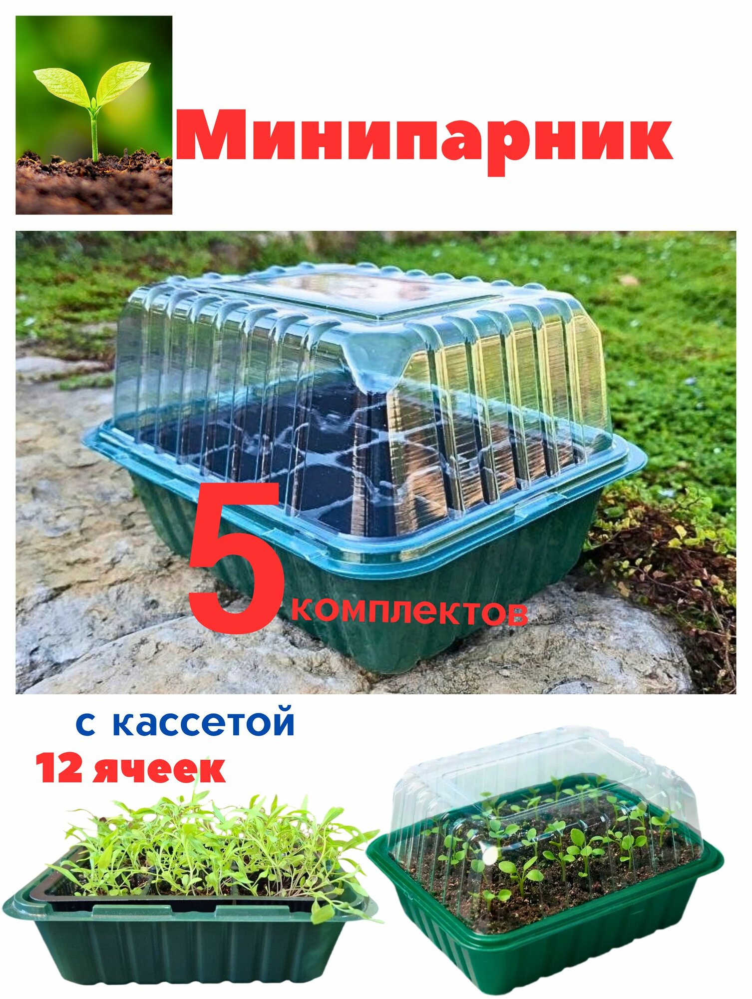 Мини-парник для рассады с кассетой 12 ячеек, 5 комплектов