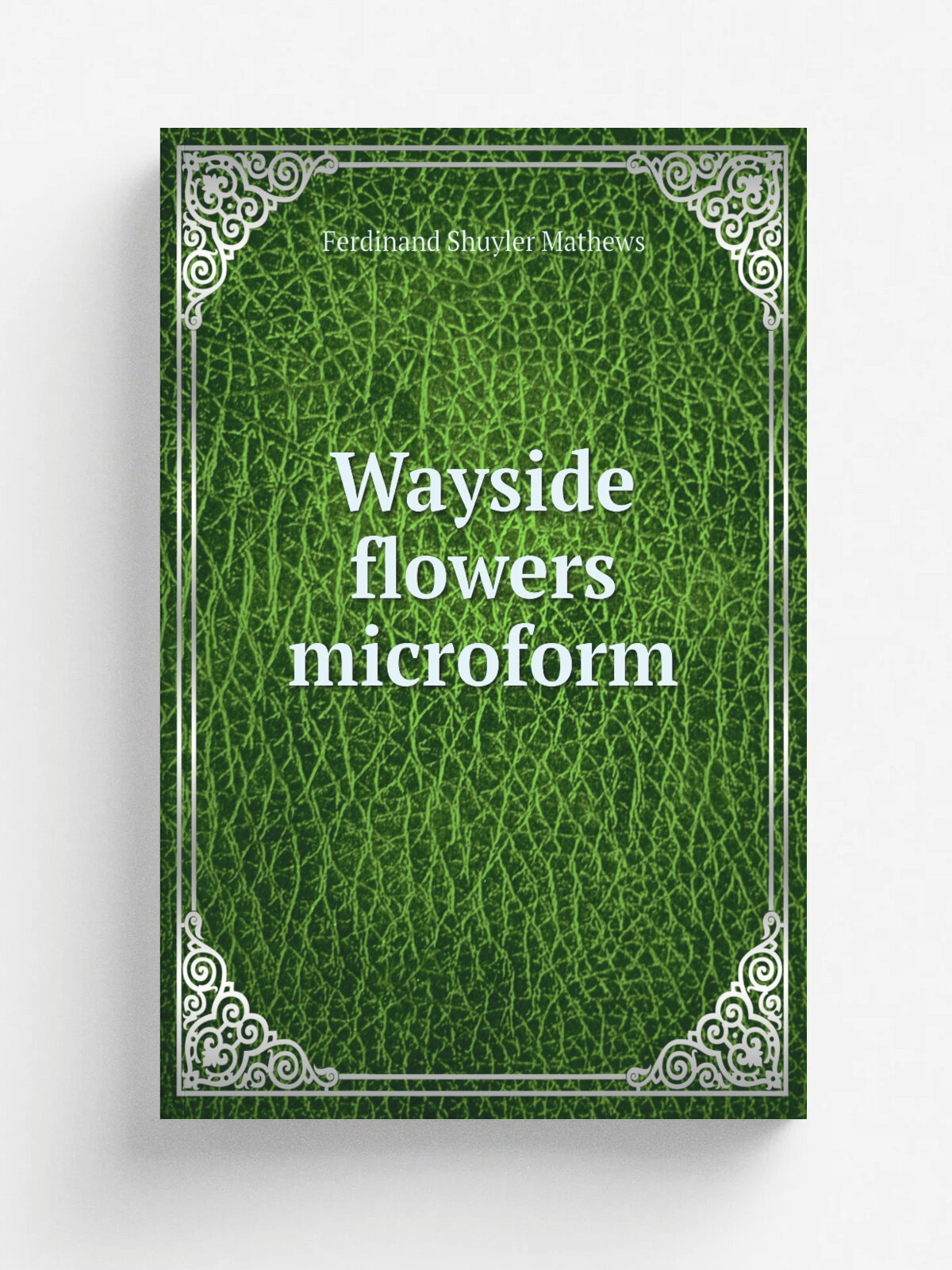 Wayside flowers microform | Ferdinand Shuyler Mathews | 1898 | Boston; Springfield, Mass. : Taber-Prang Art | Репринт