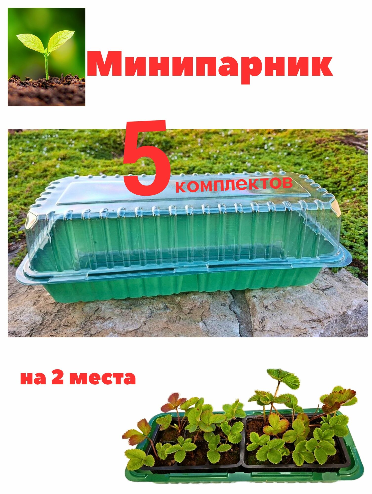 Мини-парник для рассады на 2 места, 5 штук