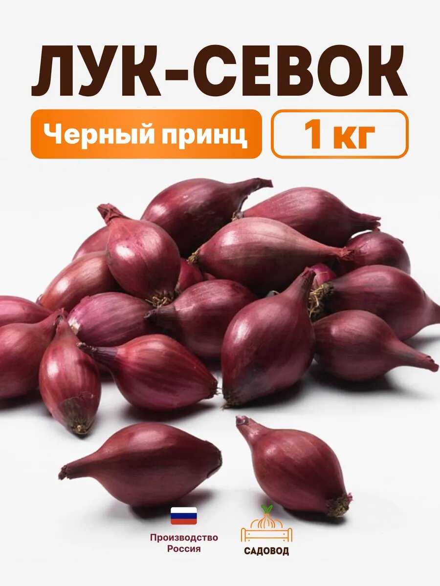 Лук севок красный Чёрный принц 1 кг на посадку осенью
