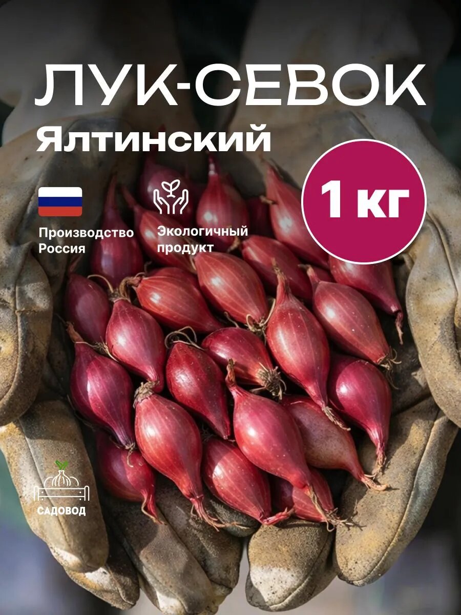 Лук севок красный Ялтинский 1 кг на посадку осенью