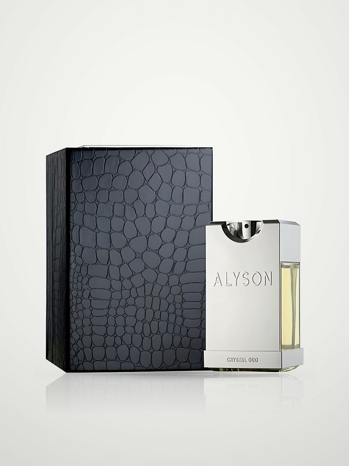 Alyson Oldoini Crystal Oud Парфюмированная вода для мужчин 100мл