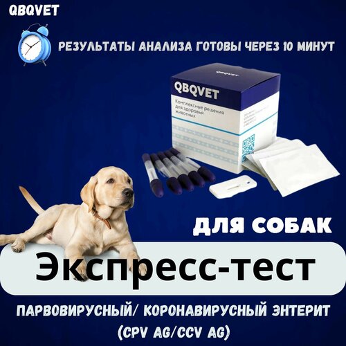 Экспресс-тест QBQVET Парвовирусный/ Коронавирусный энтерит (CPV Ag/CCV Ag) экспресс тест qbqvet бешенство rabies ag для собак 1 штука