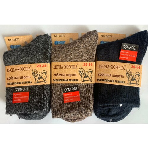 фото Носки весна-хороша, 3 пары, размер 29/34, коричневый, бордовый, голубой, горчичный, серый, фиолетовый