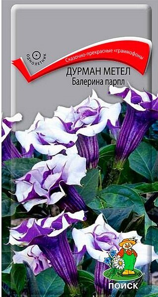 Дурман метел Балерина Парпл однол. 3шт. (Поиск)