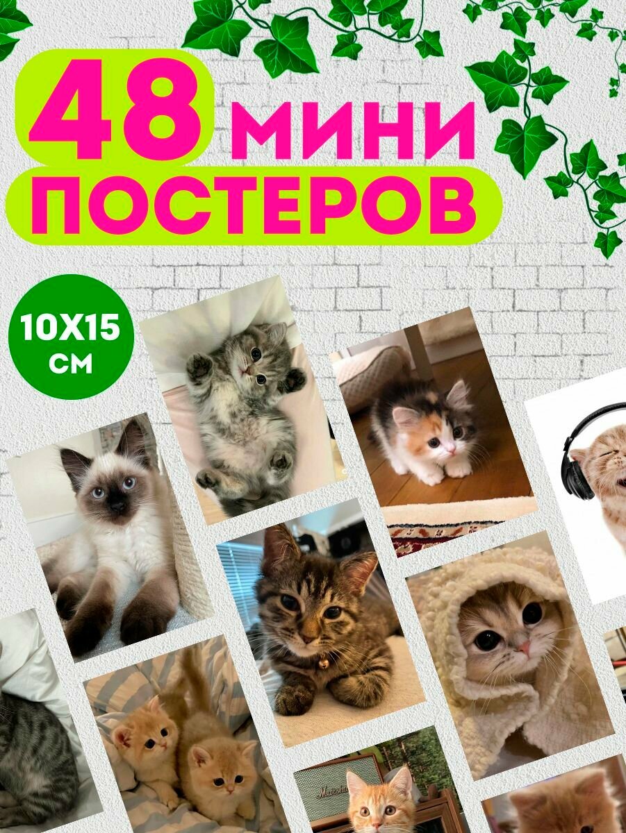Набор мини постеров Милые котики 48 штук для интерьера комнаты