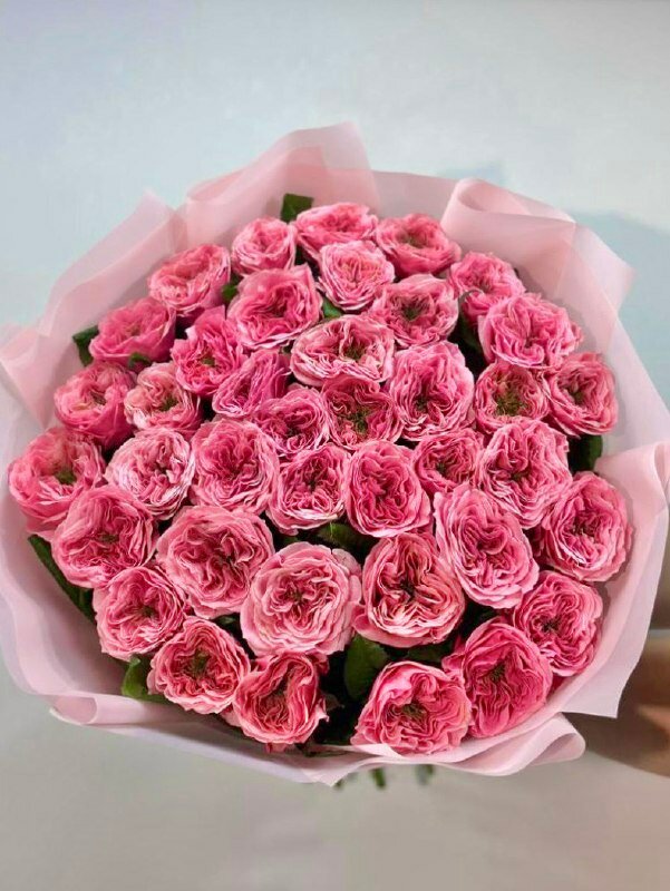 Яркий монобукет из пионовидных роз Ридженс Парк малинового цвета от FlowersGo