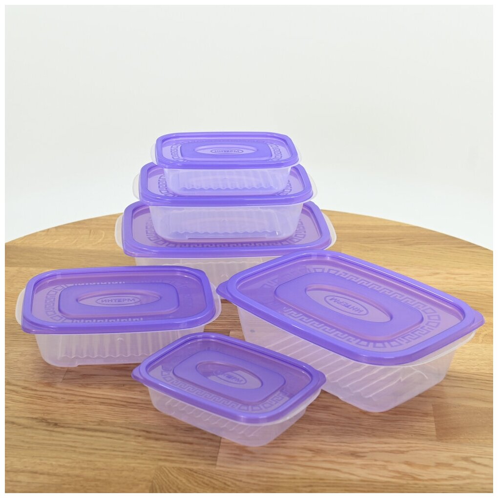 Набор контейнеров 6 шт (2х0.4л, 2х0.8л, 2х1.6л) для холодных и горячих продуктов, цвет фиолетовый - фотография № 5