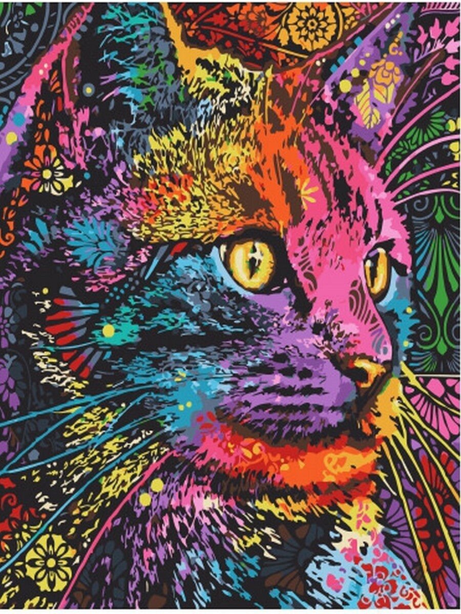 Картина по номерам Разноцветный кот 40х50 см Hobby Home