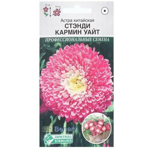 Семена Цветов Астра китайская Стэнди Кармин Уайт, 10 шт 3 упаковки семена евро семена астра китайская стэнди кармин уайт 10 шт