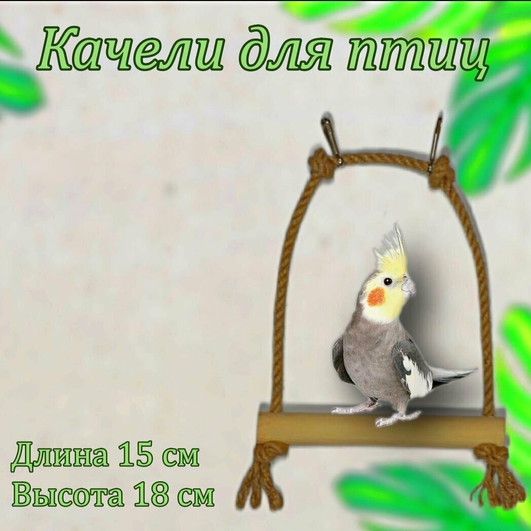 Качели для попугаев, жердочка, игрушка для птиц из дерева. Для средних попугаев и птиц.