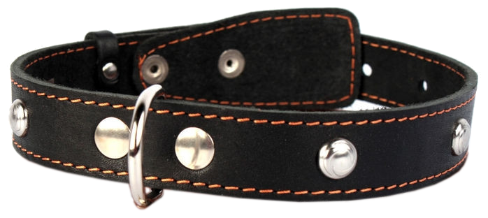 Collar ошейник кожаный одинарный с украшениями 48-63 см., Черный - фотография № 1