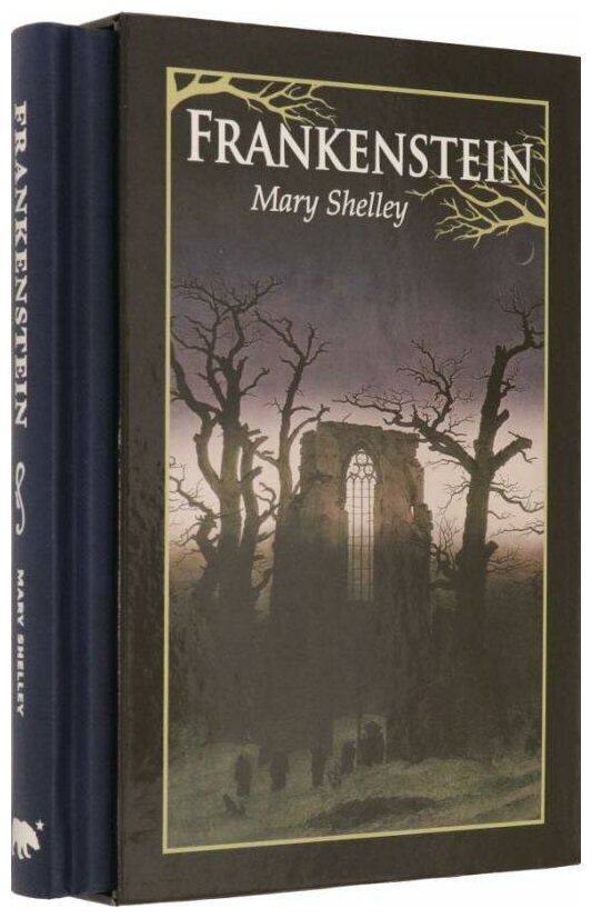 Frankenstein (Shelley Mary) - фото №1