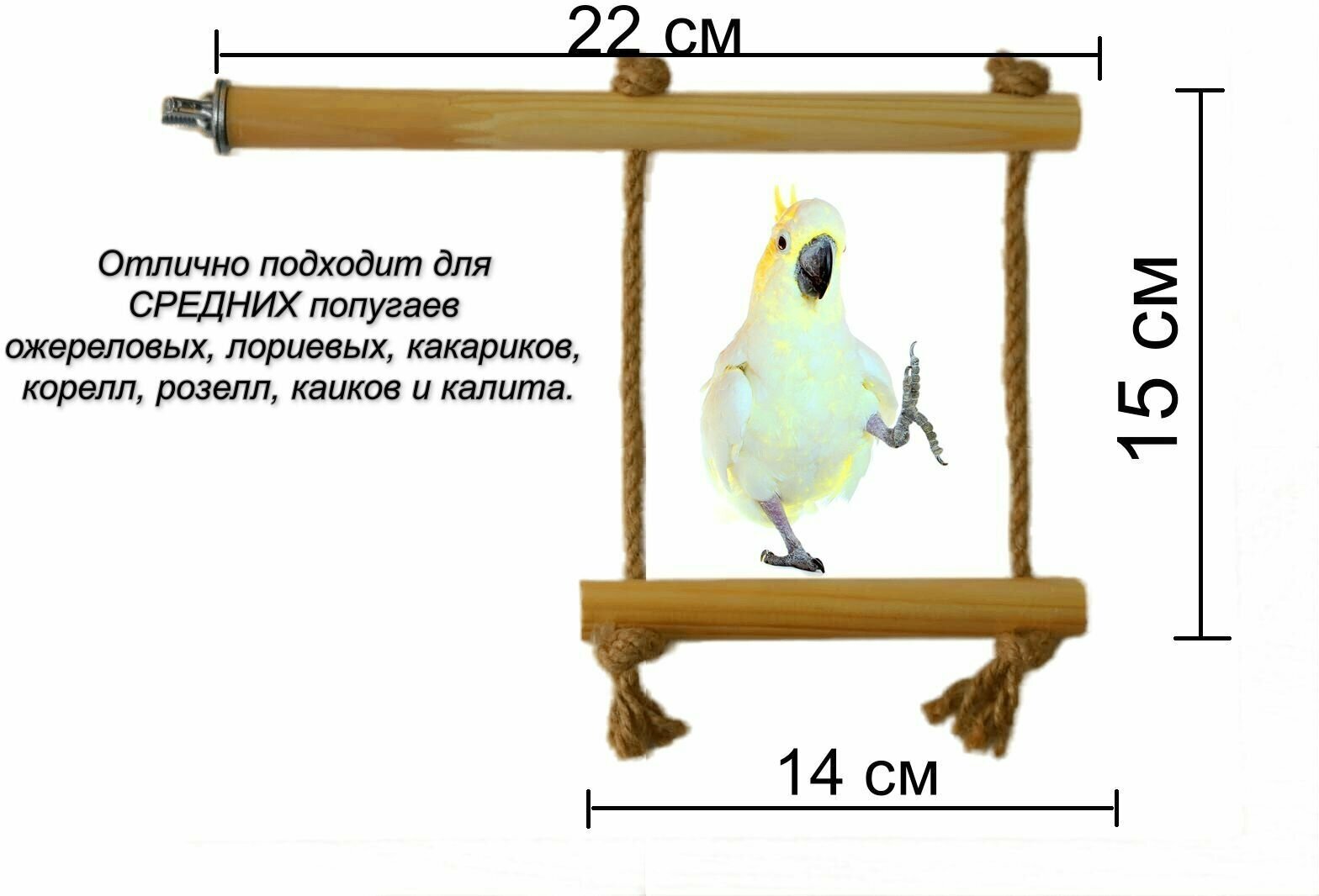 Качели для средних попугаев и птиц из натурального дерева. жердочка с качелями.