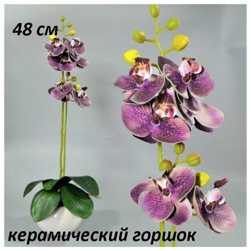 Орхидея искусственная реалистичная в керамическом горшке 40см
