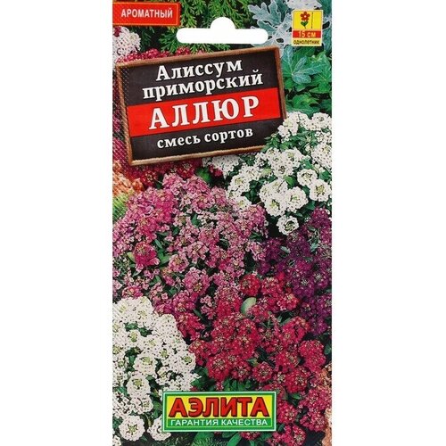 Семена Цветов Алиссум Аллюр, смесь сортов 0,1 г 12 упаковок семена цветов колокольчик смесь сортов дв 0 2 г 12 упаковок