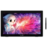 Графический планшет XP-Pen Artist FHD IPS черный/серебристый (artistcd220f_eu)