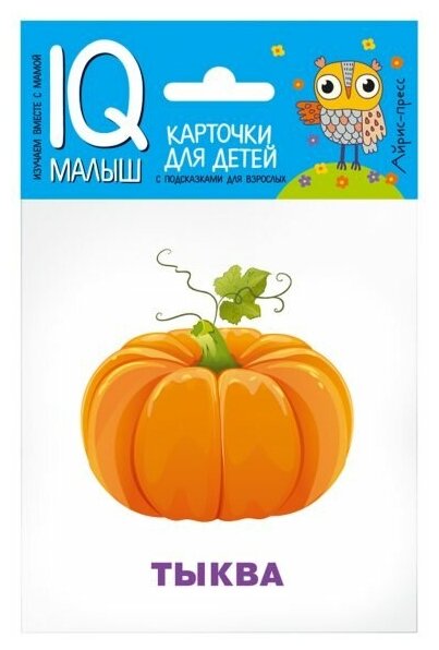 Набор карточек Айрис-пресс Умный малыш, Что растет на грядке? (25937)