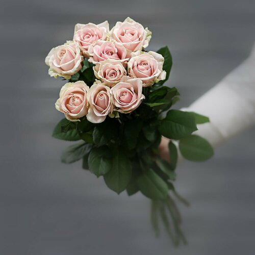 Букет из 11 кремово-розовых роз (Россия) с лентой 60 см Д