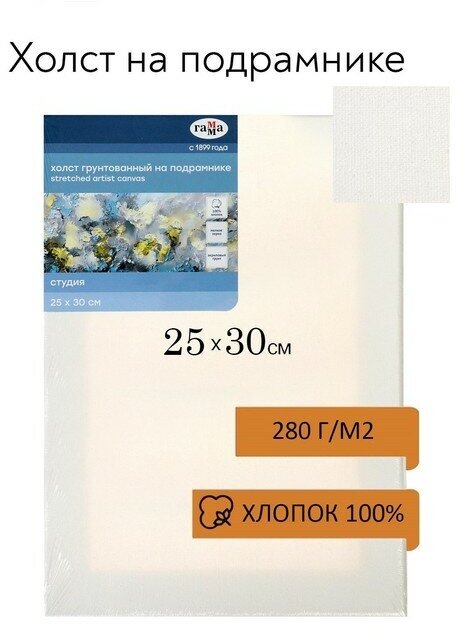 Гамма Холст на подрамнике, хлопок 100%, 25 х 30 х 1,8 см, акриловый грунт, мелкозернистый, 280 г/м2, "Студия"