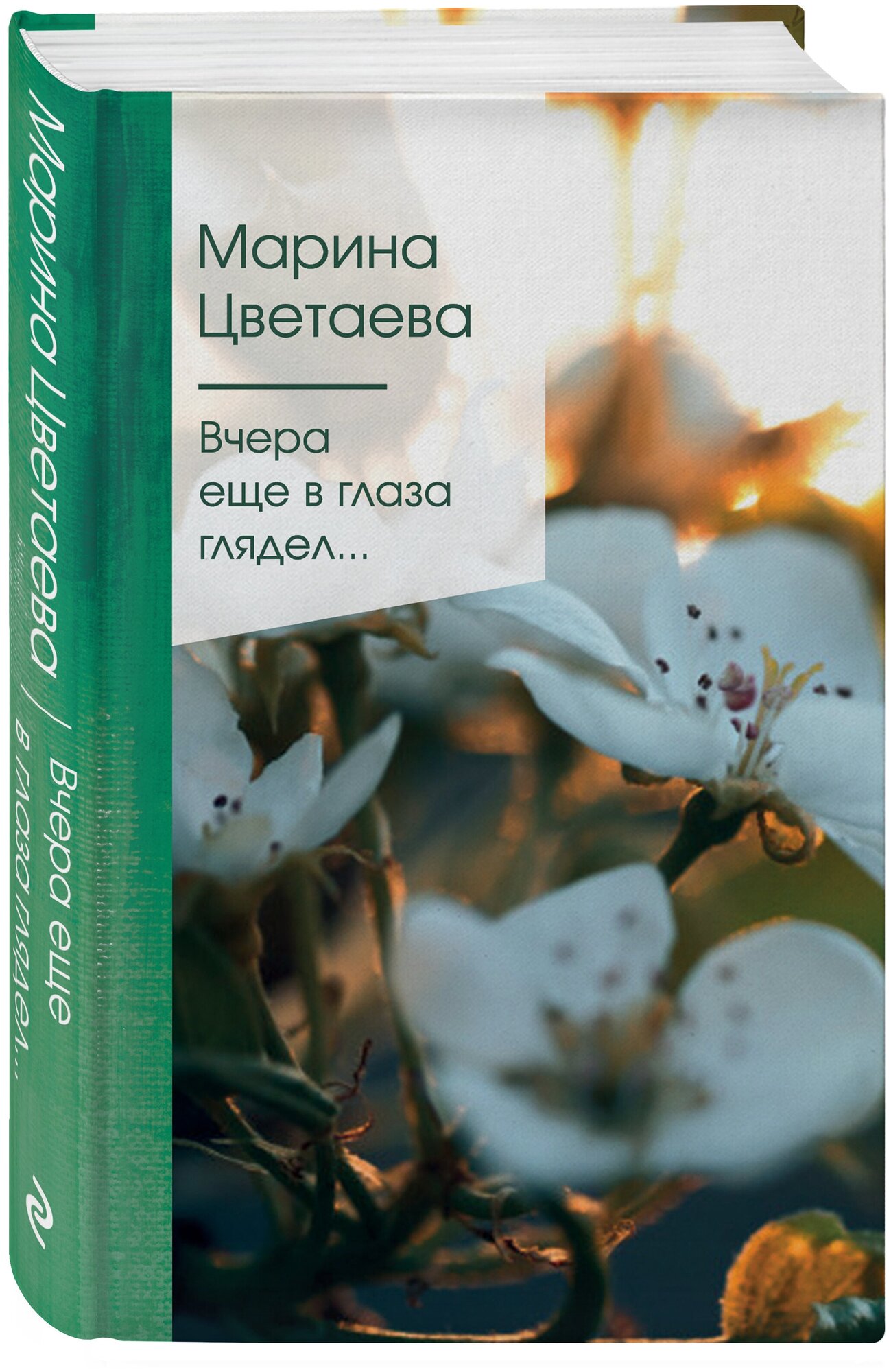 Цветаева М. И. Вчера еще в глаза глядел.