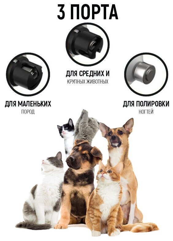 Электрическая когтерезка для собак и кошек, гриндер с подсветкой для когтей животных, когтерез SMEHNSER M5