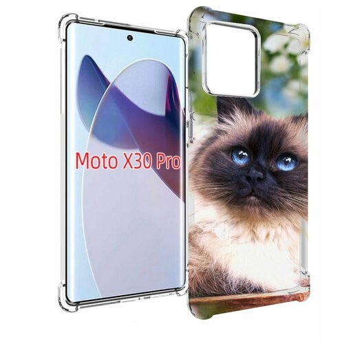 Чехол MyPads порода кошка Бирман для Motorola Moto X30 Pro задняя-панель-накладка-бампер чехол mypads порода кошка бирман для oppo reno 8 lite задняя панель накладка бампер