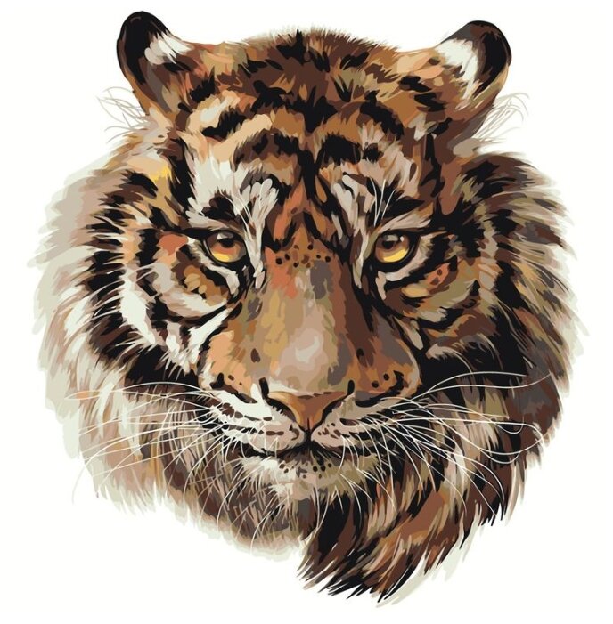 Картина по номерам "Голова тигра", 40x40 см