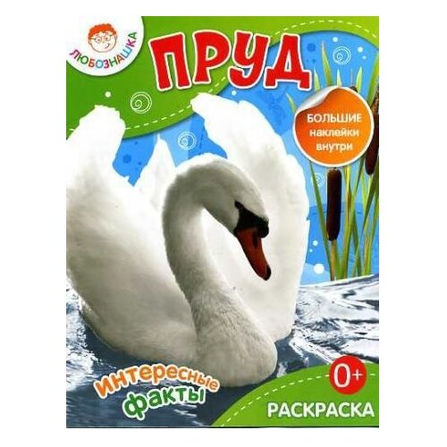 фото Рипол Классик Раскраска с