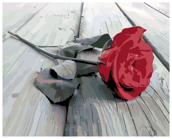 Картина по номерам "Цветок розы", 40x50 см