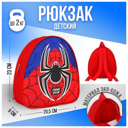 NAZAMOK KIDS Рюкзак детский Паучок, р-р. 23*20.5 см рюкзак детский корзина сладостей р р 23 20 5 см nazamok kids 9302241