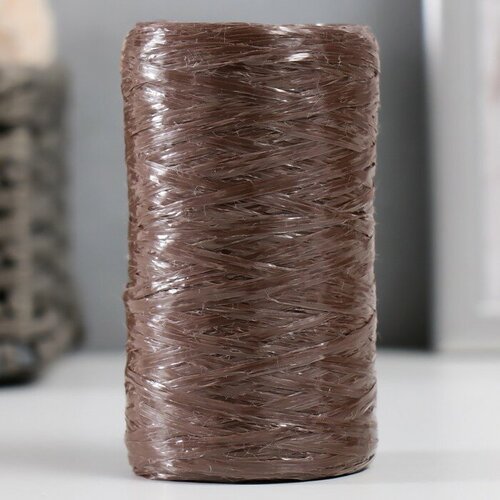 Пряжа для ручного вязания 100% полипропилен 200м/50гр (09-коричневый) 5 шт