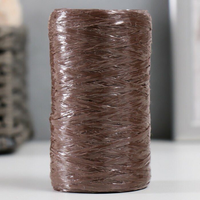 Пряжа для ручного вязания 100% полипропилен 200м/50гр. (09-коричневый) 5 штук