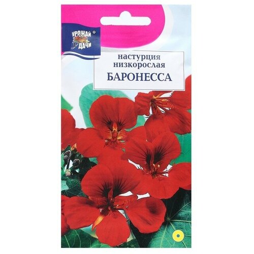 Семена цветов Настурция кустовая баронесса, 0,6 г (2 шт)