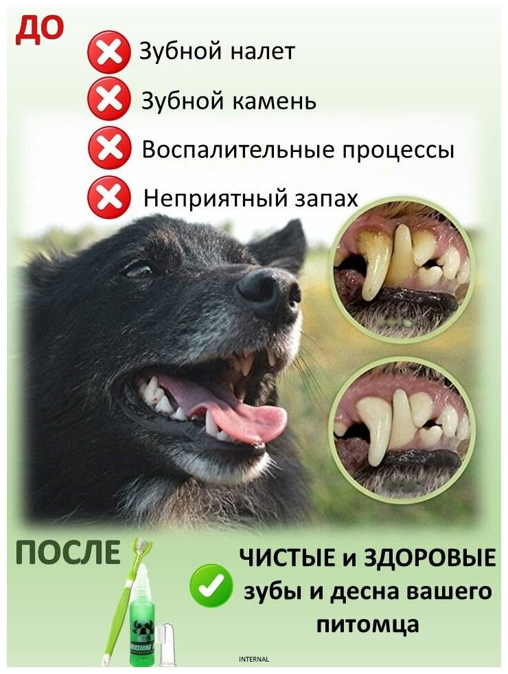 Набор для гигиены полости рта у собак и кошек: зубная щетка с трехмерной головкой, силиконовую щетка на палец и паста гель - фотография № 2