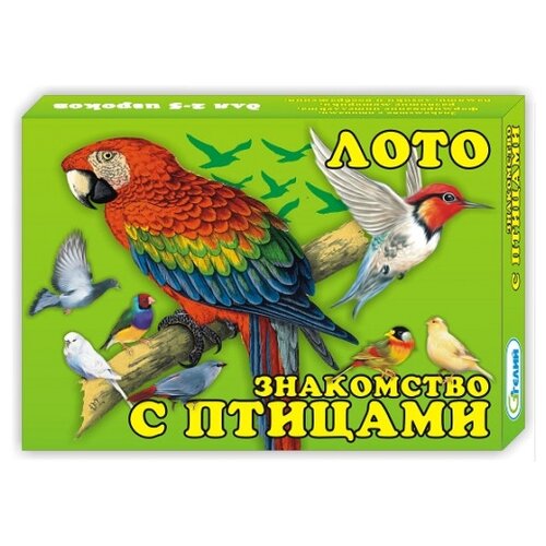 Настольная игра Гелий Знакомство с птицами 10518 orangius orangius настольная игра ловец птиц