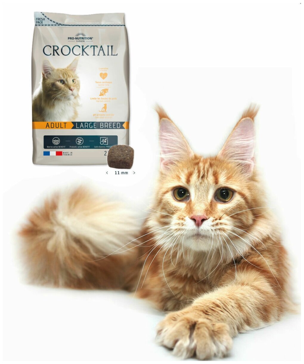 FLATAZOR CROCKTAIL ADULT LARGE BREED для взрослых кошек крупных пород (10 кг)