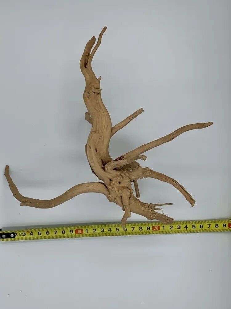Натуральная декорация коряга Паучий корень для аквариума 15-25 см Размер XS - фотография № 2