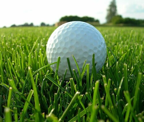 Евро-Семена Газон для ленивых, 10 кг — фото 1