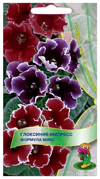 Купить комнатных цветов почтой наложенным платежом недорого 101 роза за 2000 рублей в москве