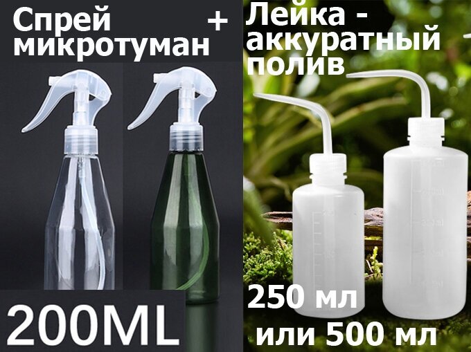 Набор для рассады, лейка аккуратный прикорневой полив 250 мл., спрей опрыскиватель, микротуман для суккулентов 200 мл. - фотография № 1