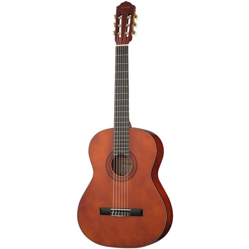 классическая гитара naranda cg120 4 4 CG220-4/4 Классическая гитара Naranda