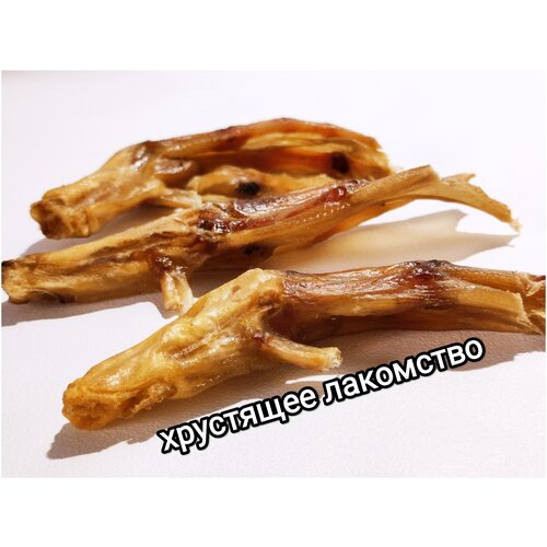 FOODDOG/Лапки утиные 9 шт/Лакомство для собак для щенков 110 гр