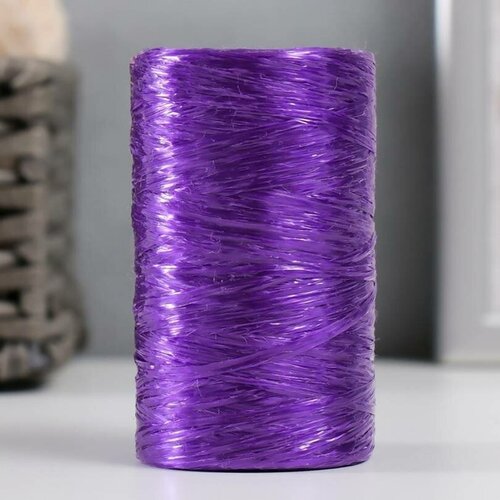 Пряжа для ручного вязания, 100% полипропилен, 200 м/50 гр, №2-3, фиолетовый аметист, 5 шт.