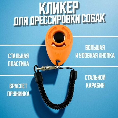 Кликер для дрессировки собак на браслете с карабином оранжевый