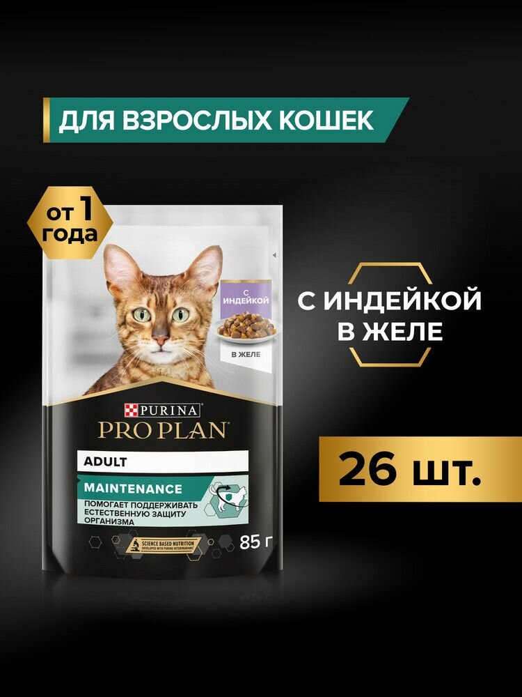 Влажный корм PRO PLAN MAINTENANCE для взрослых кошек, с индейкой в желе, 85г х26шт